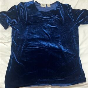 NWB Casuals Shiny Blue Velvet Top
